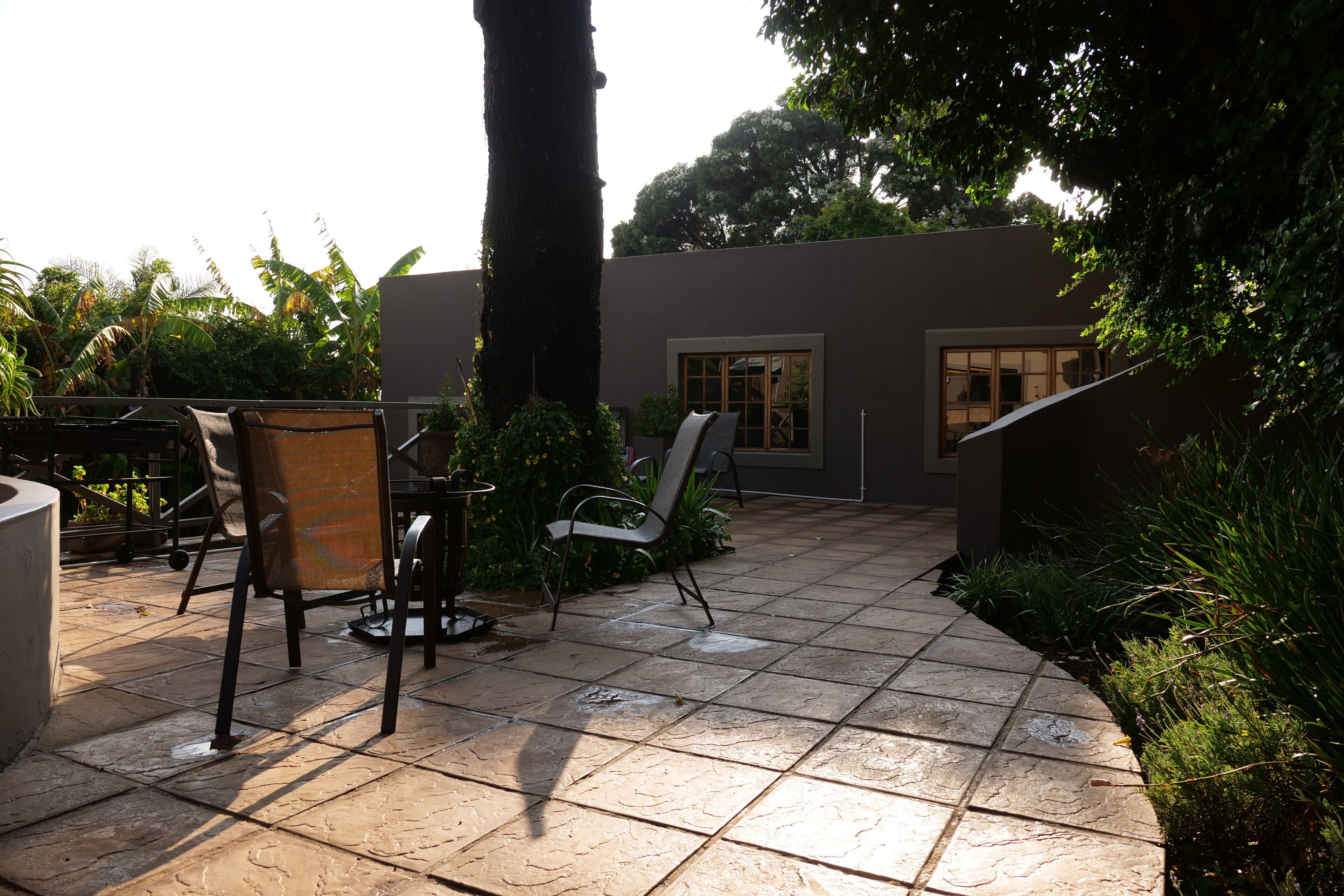 Un patio al aire libre con suelo de baldosas, dos sillas de metal, una mesa y un pequeño jardín con diversas plantas y un árbol.