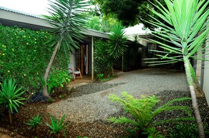 A garden with a gravel path, various plants, and a wooden chair.