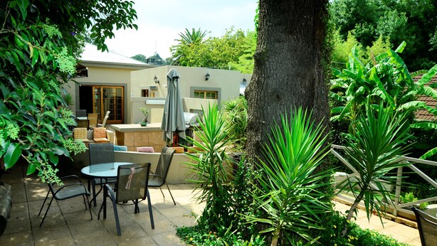 Un espace patio aménagé avec une table et des chaises, entouré d’une végétation luxuriante et d’un arbre.