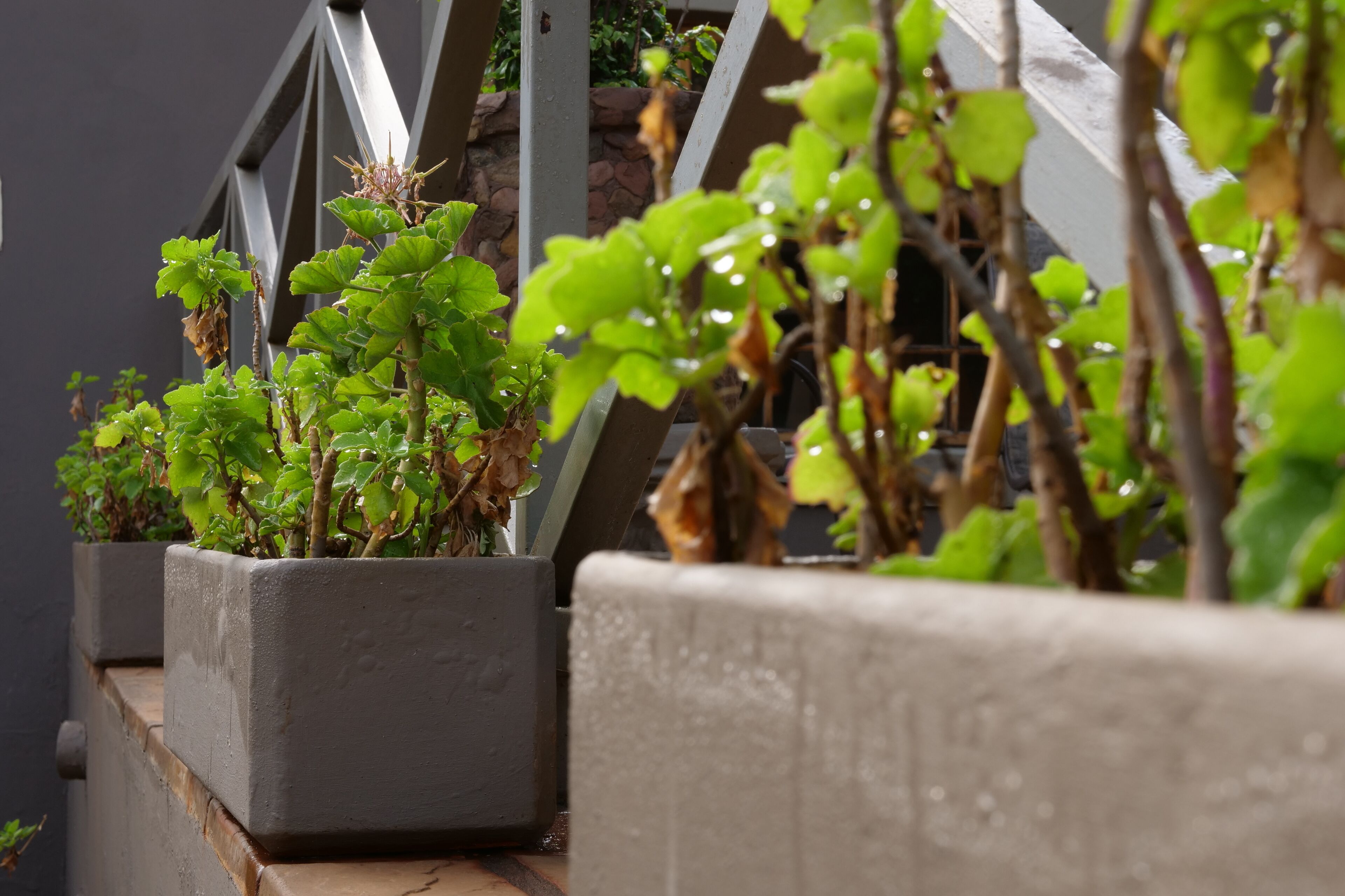 Photo - 7th Street Guesthouse