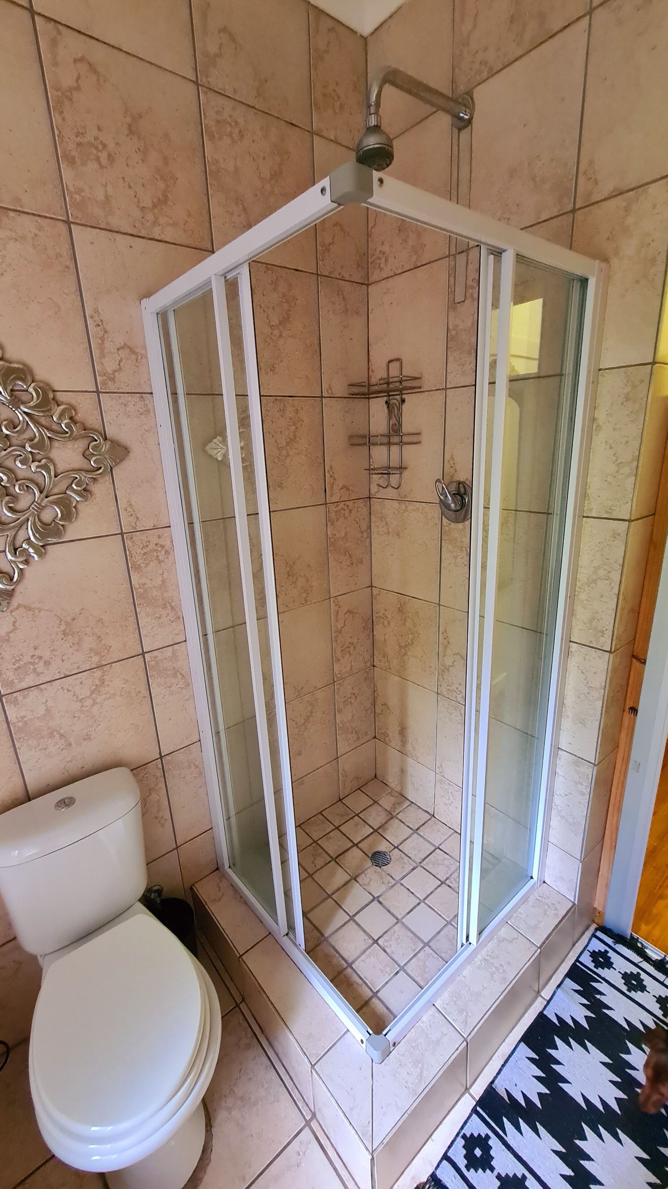 Una doccia con porta in vetro, un water e un tappeto decorato.