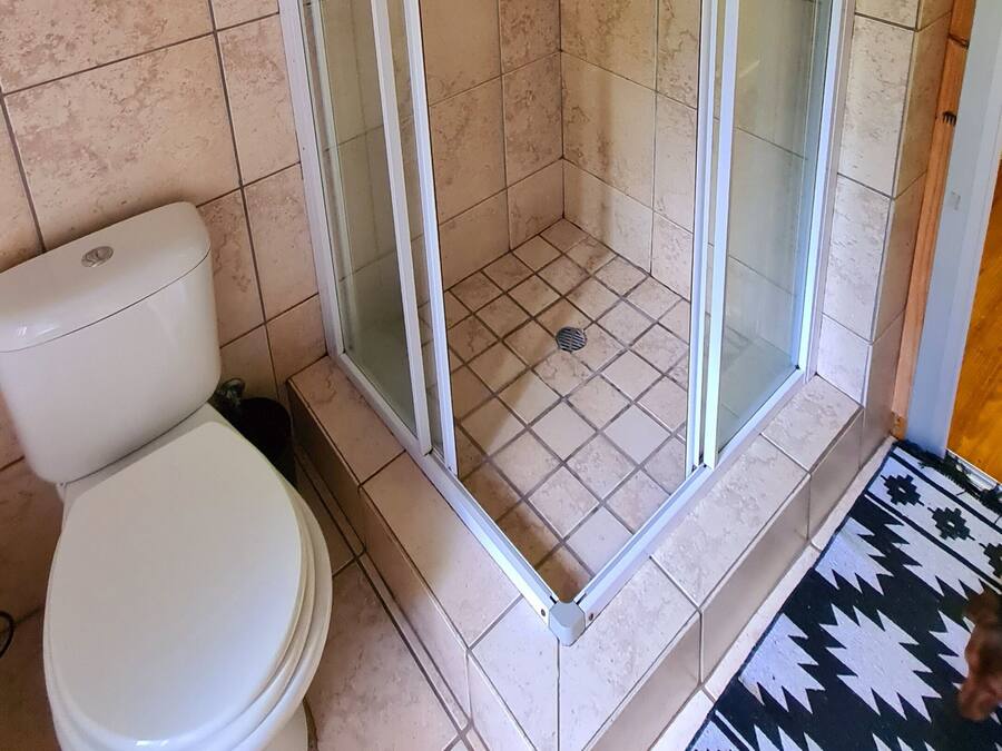 Una doccia con porta in vetro, un water e un tappeto decorato.