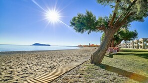 Una playa con un camino de madera, un árbol grande y un edificio al fondo.