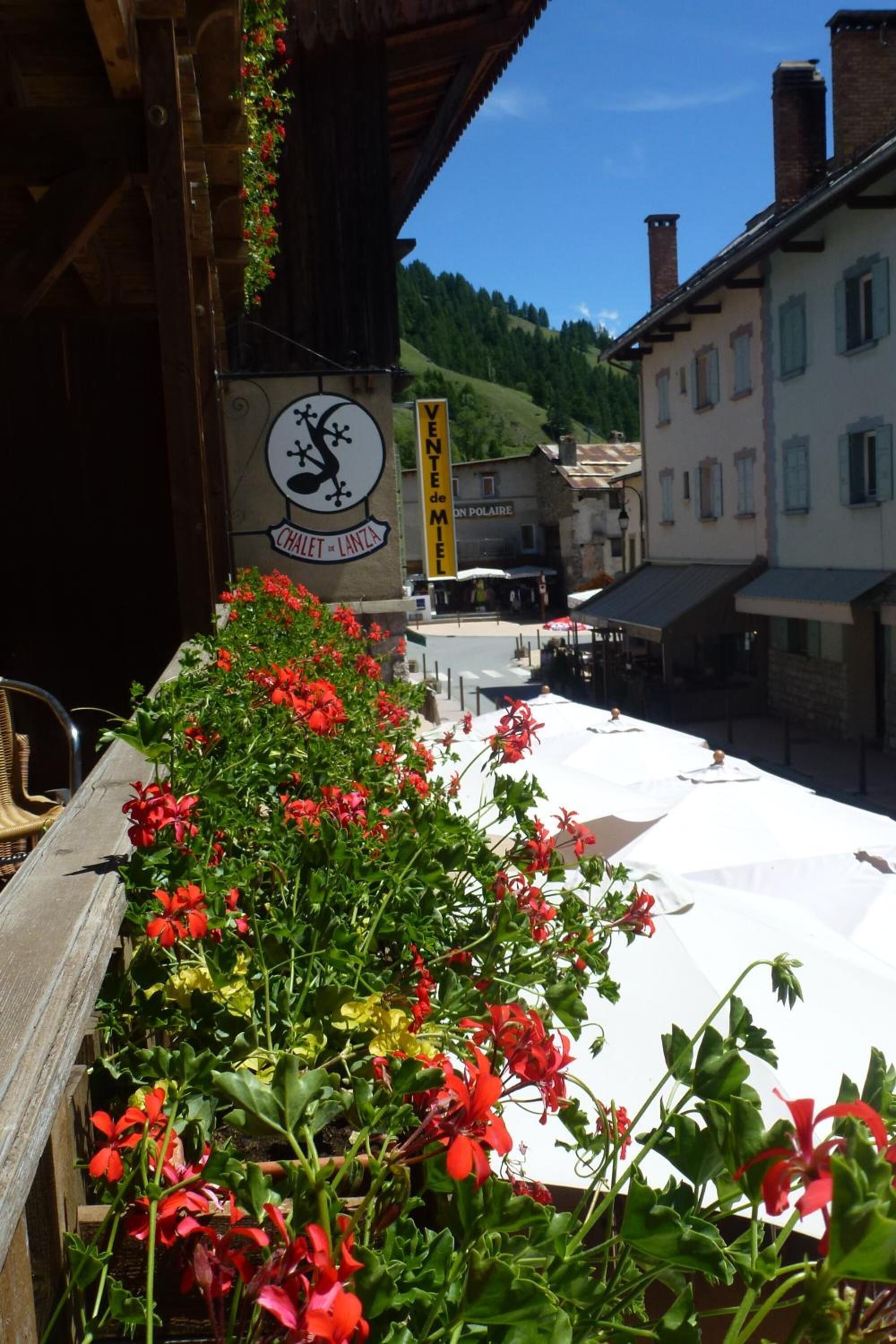 Eine Terrasse mit roten Blumen und Sitzgelegenheiten im Freien.