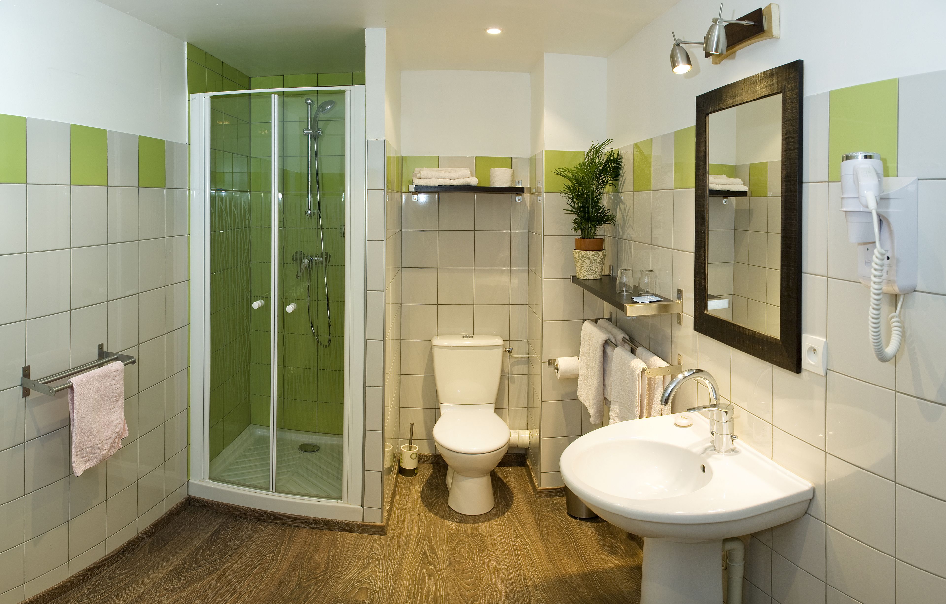 A modern bathroom with a glass-enclosed shower, a white toilet, a sink, and a mirror.