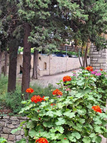 Mountain Vista Resort