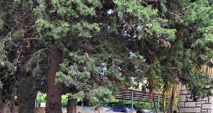 Mountain Vista Resort