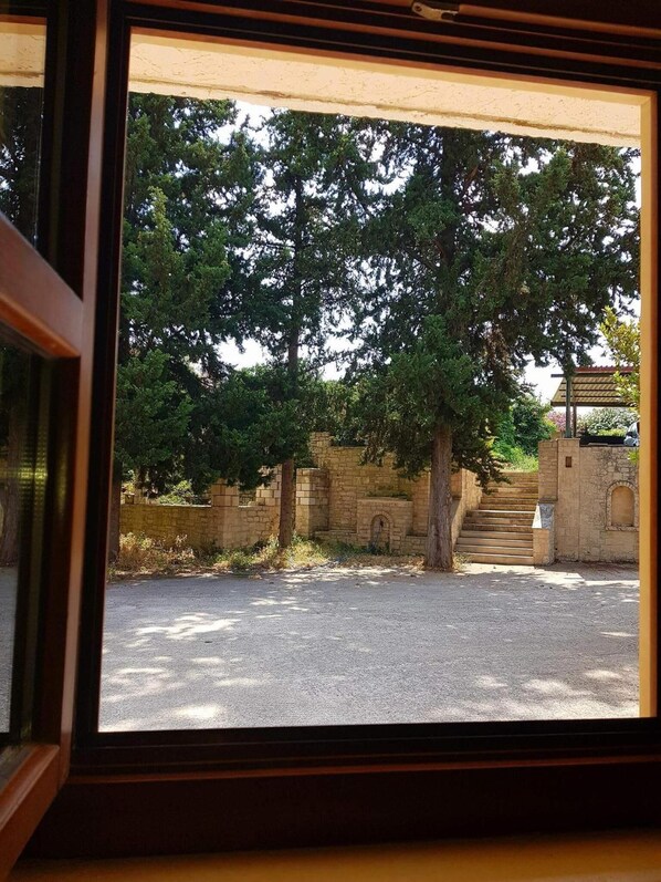 A view through a window of a courtyard with a stone wall, a tree, and a staircase leading to a covered area.