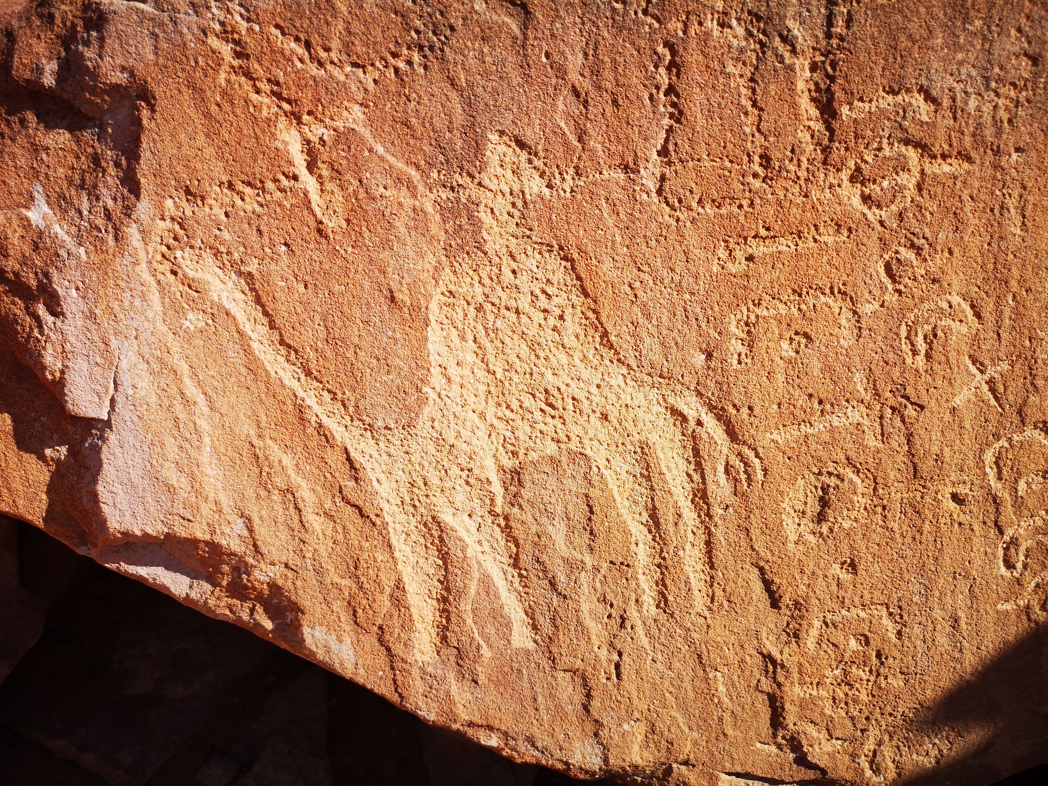 A close-up of a textured surface with carved patterns.
