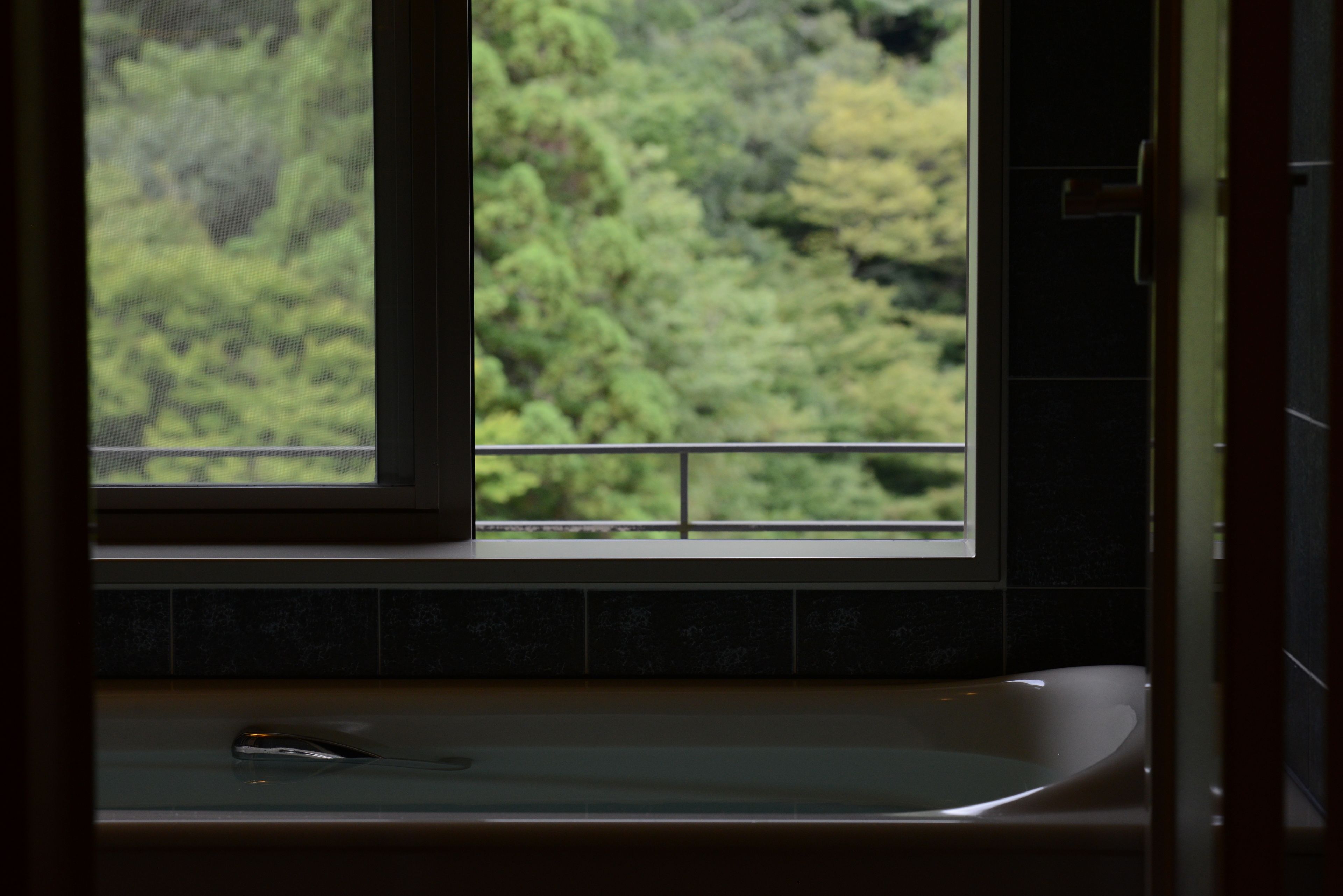 Foto - Arima Onsen Gekkoen Korokan