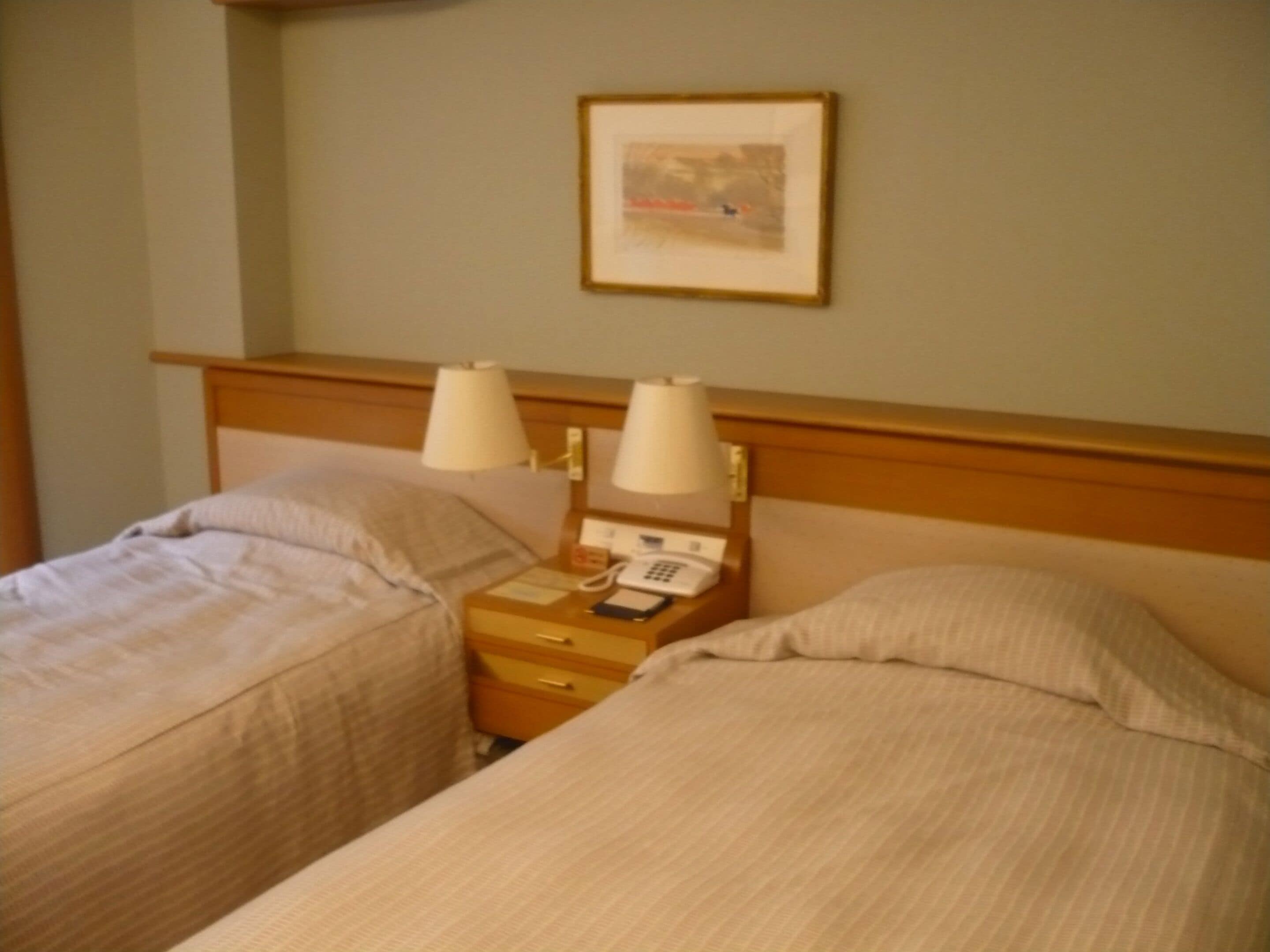 Foto - Arima Onsen Gekkoen Korokan