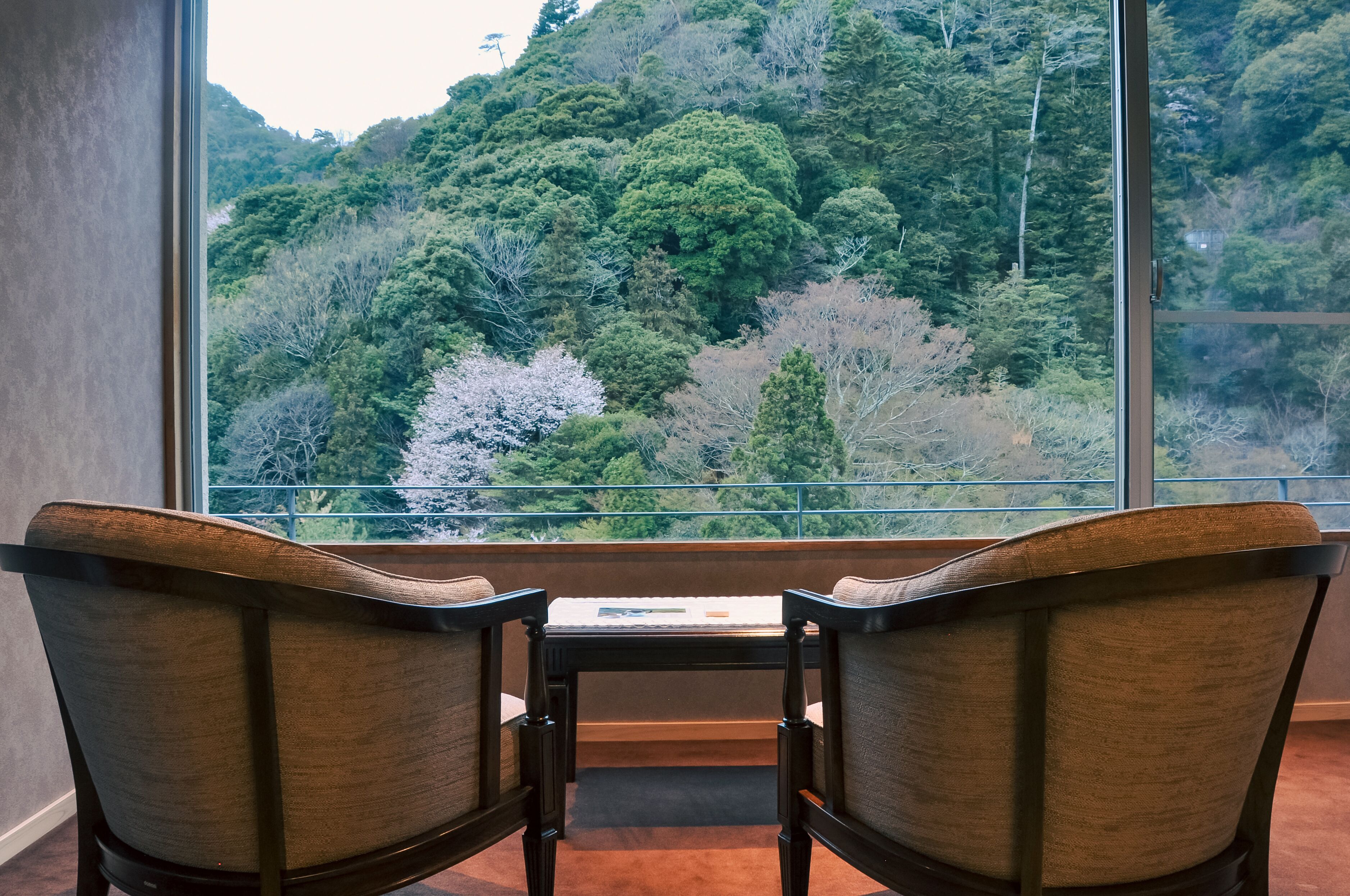 Foto - Arima Onsen Gekkoen Korokan