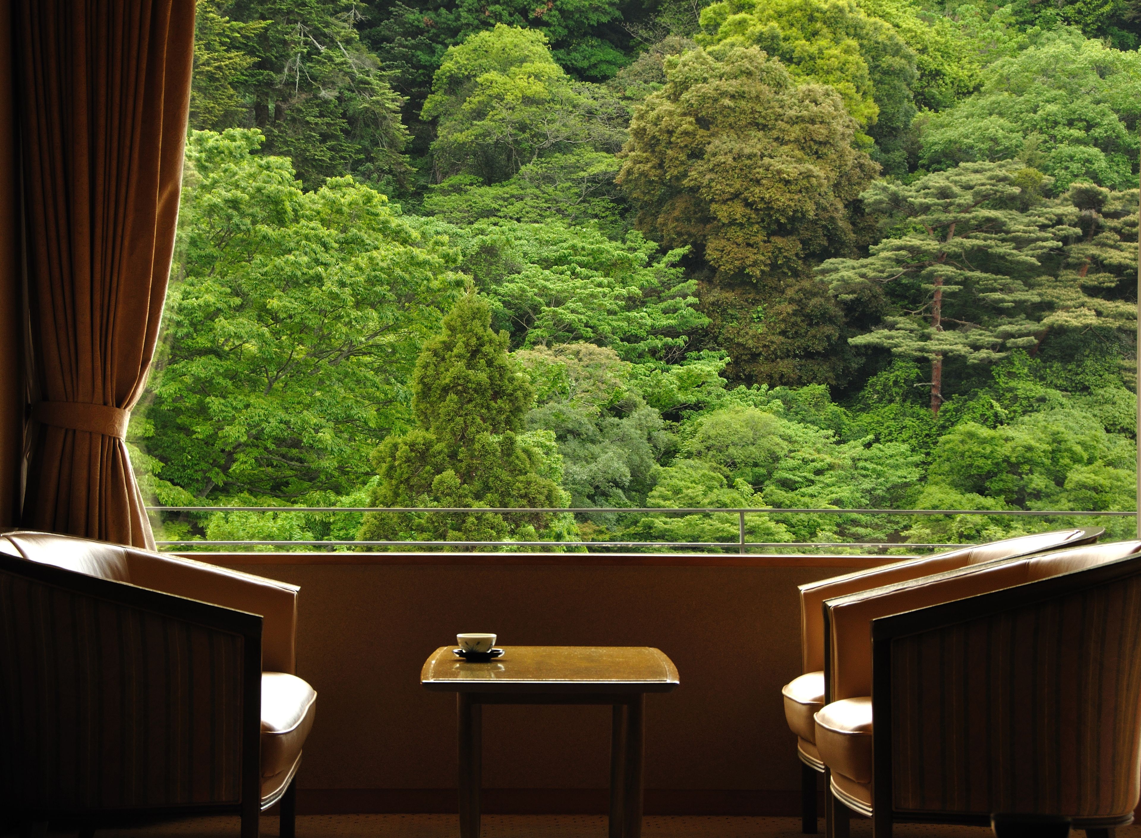 Tradisjonelt rom, flere senger (can't serve dinner after 8 PM checkin) | Utsikt fra rommet