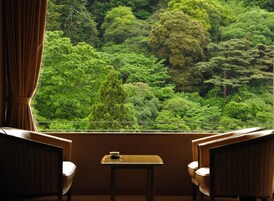 传统客房 (can't serve dinner after 8 PM checkin) | 客房景观