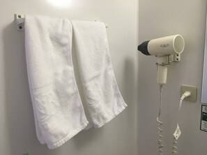 Combined shower/bathtub, hair dryer, slippers, electronic bidet