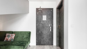 A room with a green sofa, a dark door, and a light wooden floor.