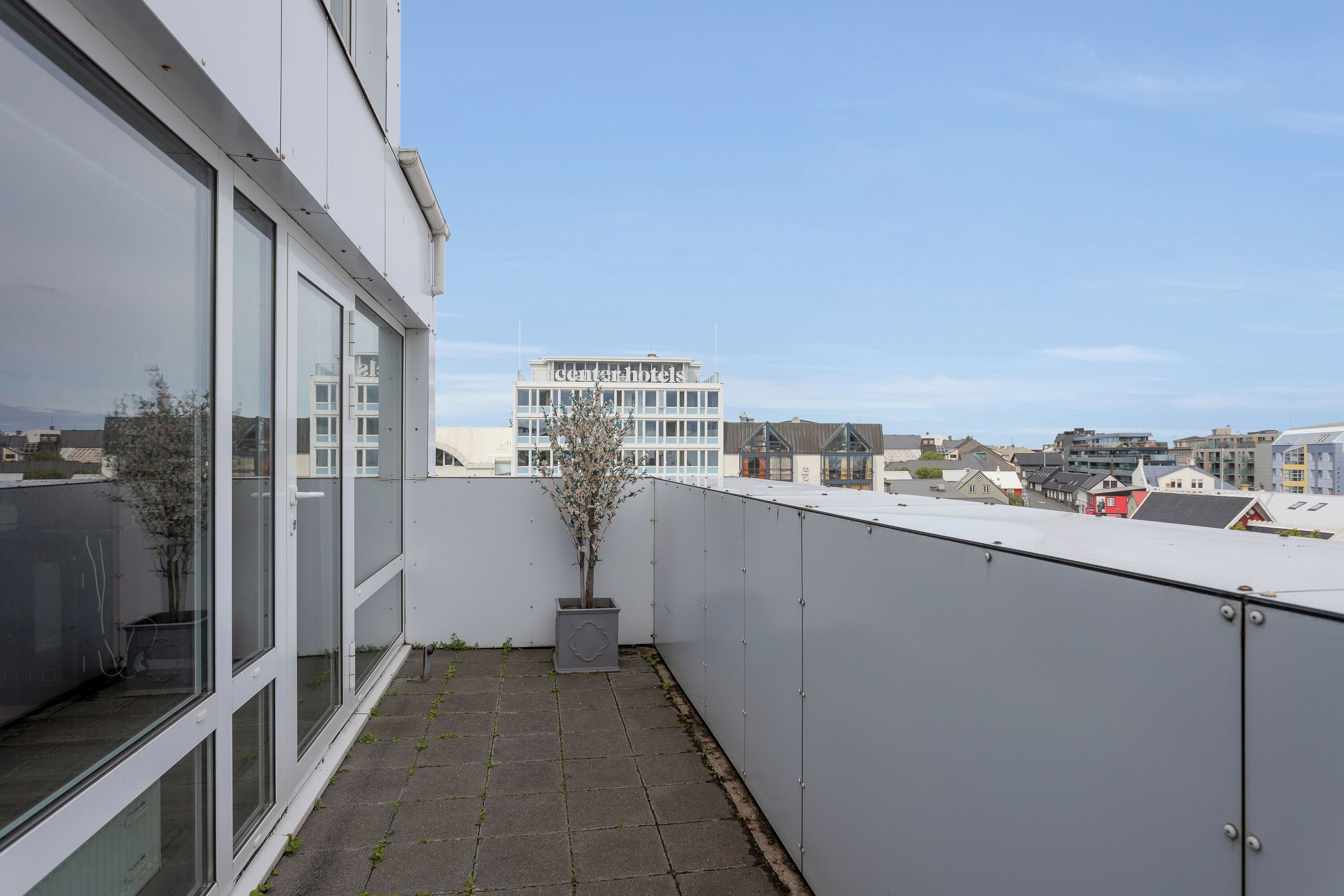 Terraza en la azotea con un árbol en maceta, vista del paisaje urbano y un edificio con la leyenda 'dental hotels' al fondo.