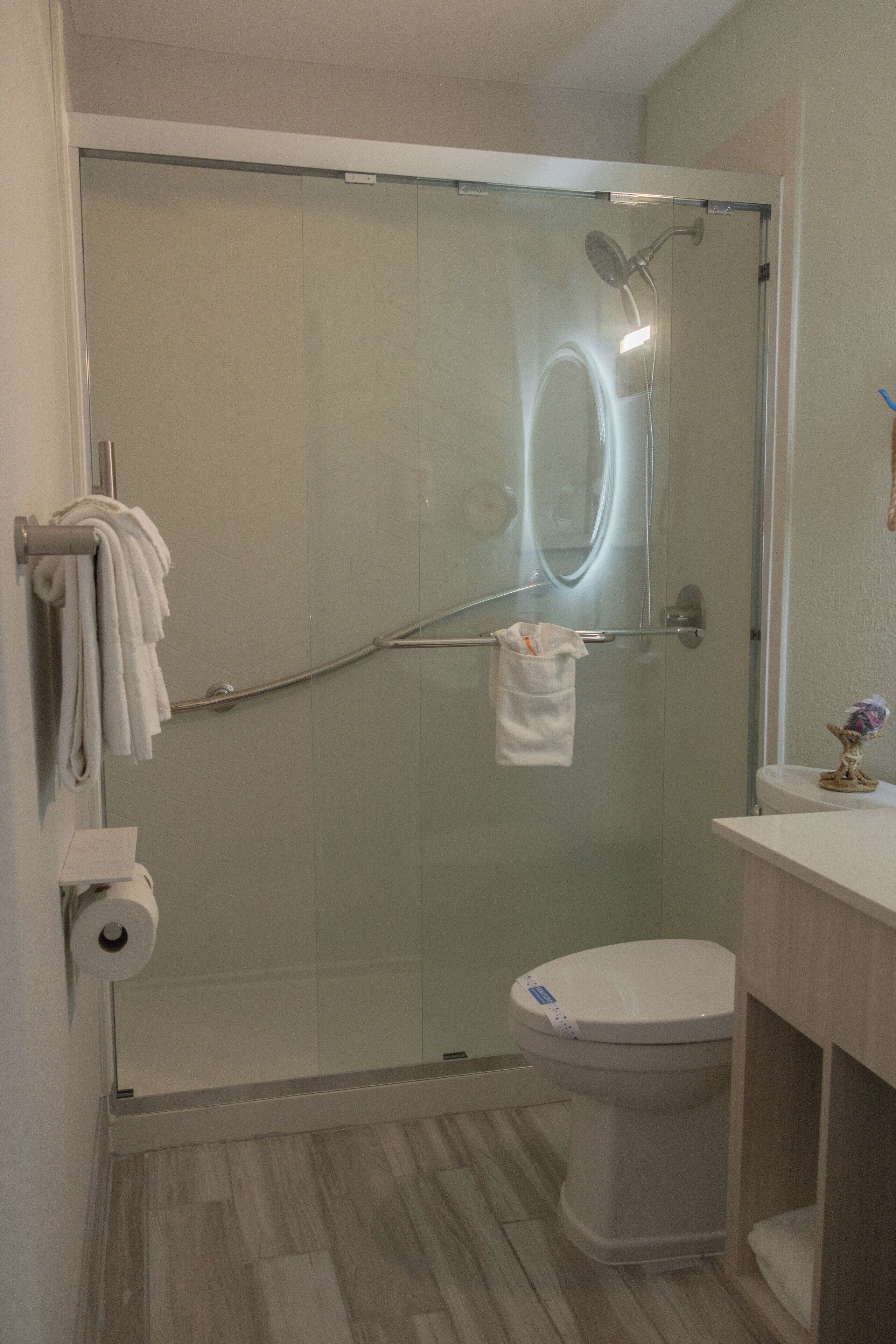 Een moderne badkamer met een douche met glazen wand, een toilet en een wastafel met handdoekrek.