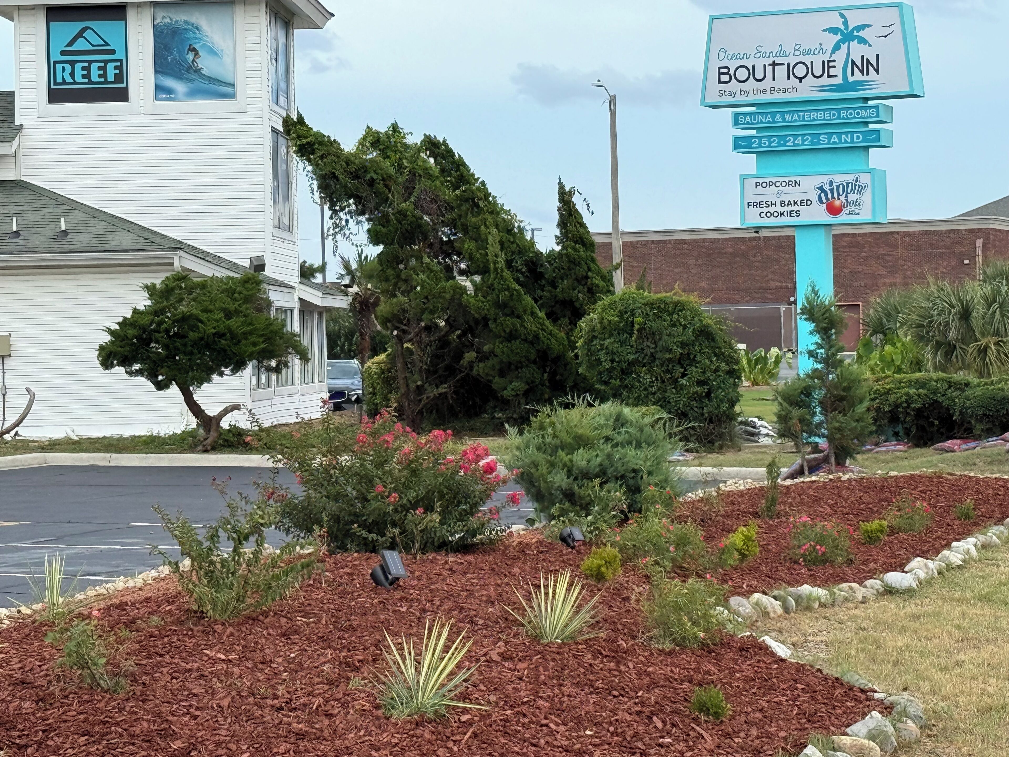 Un hôtel arborant une enseigne indiquant « Ocean Sands Beach Boutique Inn », et offrant des équipements tels qu’un sauna et des chambres avec lits à eau, ainsi qu’un espace de stationnement équipé de panneaux solaires.