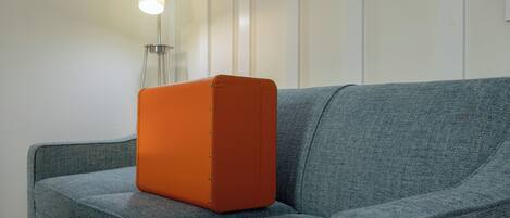 A room with a grey sofa and a small orange object on it.