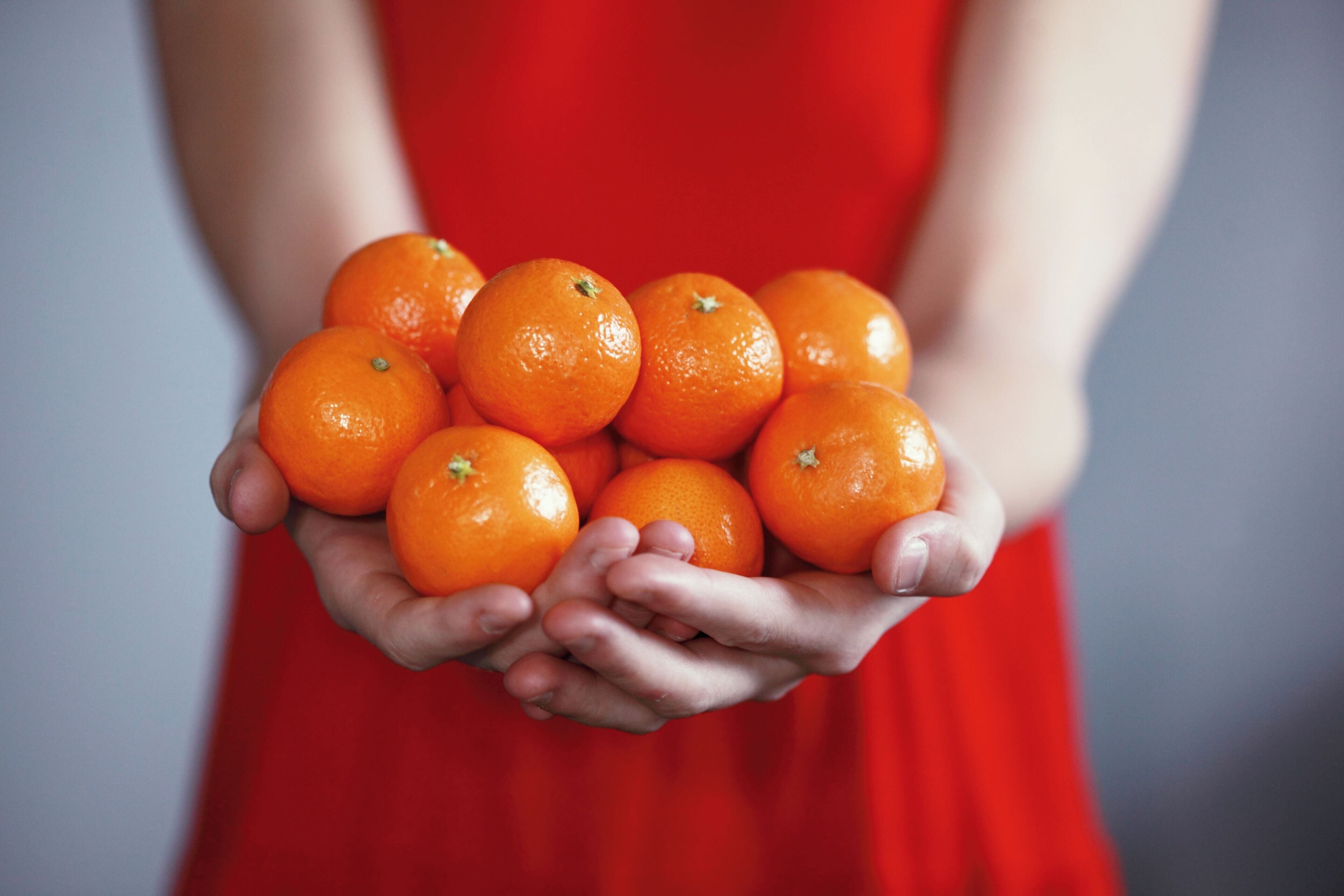 A person holding several oranges in their hands.