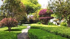 A garden pathway with neatly trimmed hedges and trees. - Ganjiang Hotel (Nanchang)