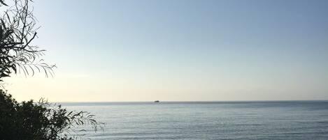 A sandy beach with a clear view of the ocean and a distant ship.