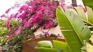 Fachada de edificio cubierta de coloridas flores de buganvilla.