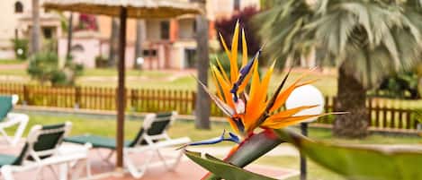 A tropical garden with a bird of paradise flower, lounge chairs, and a thatched umbrella.
