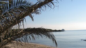 Una playa con palmeras, orilla de arena y agua tranquila.
