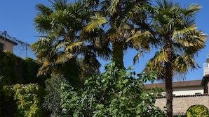 Two white lounge chairs in a grassy area with a palm tree and a brick wall in the background. - Hotel Sant'Andrea (Ravenna)