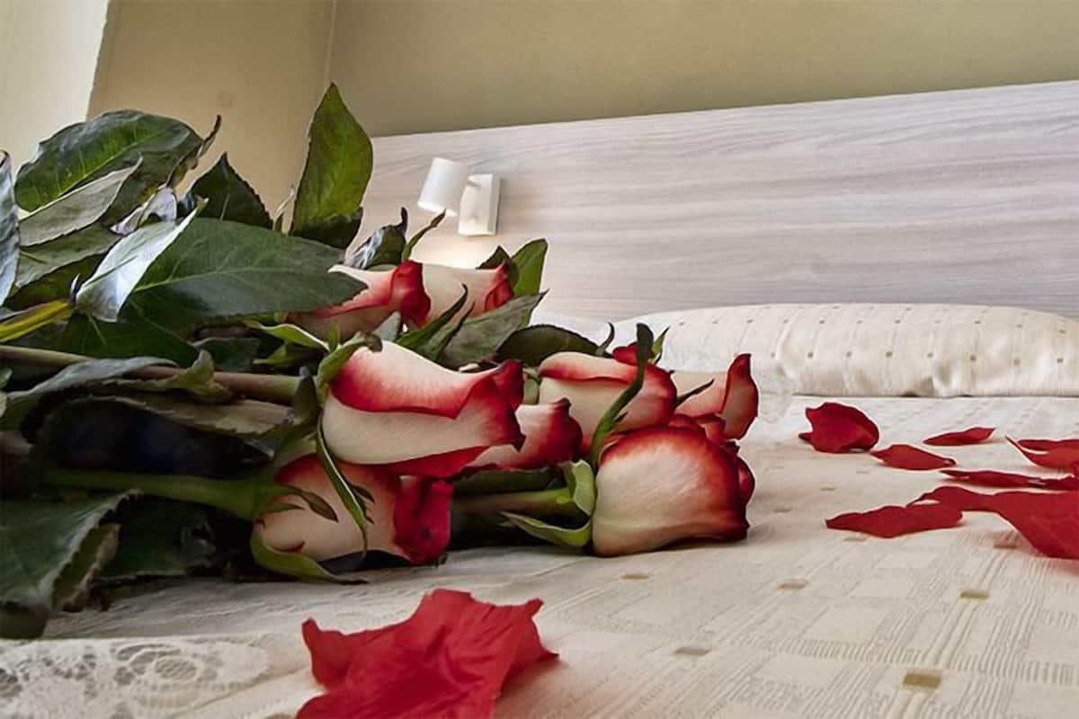 A bed with a white pillow and a bouquet of red and white roses on it.