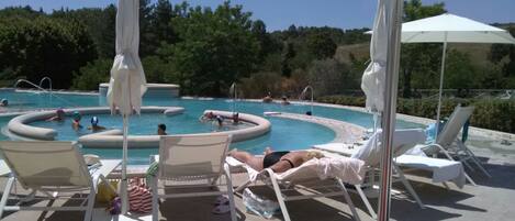Un área de piscina con sillones de descanso y sombrillas, rodeada de árboles.