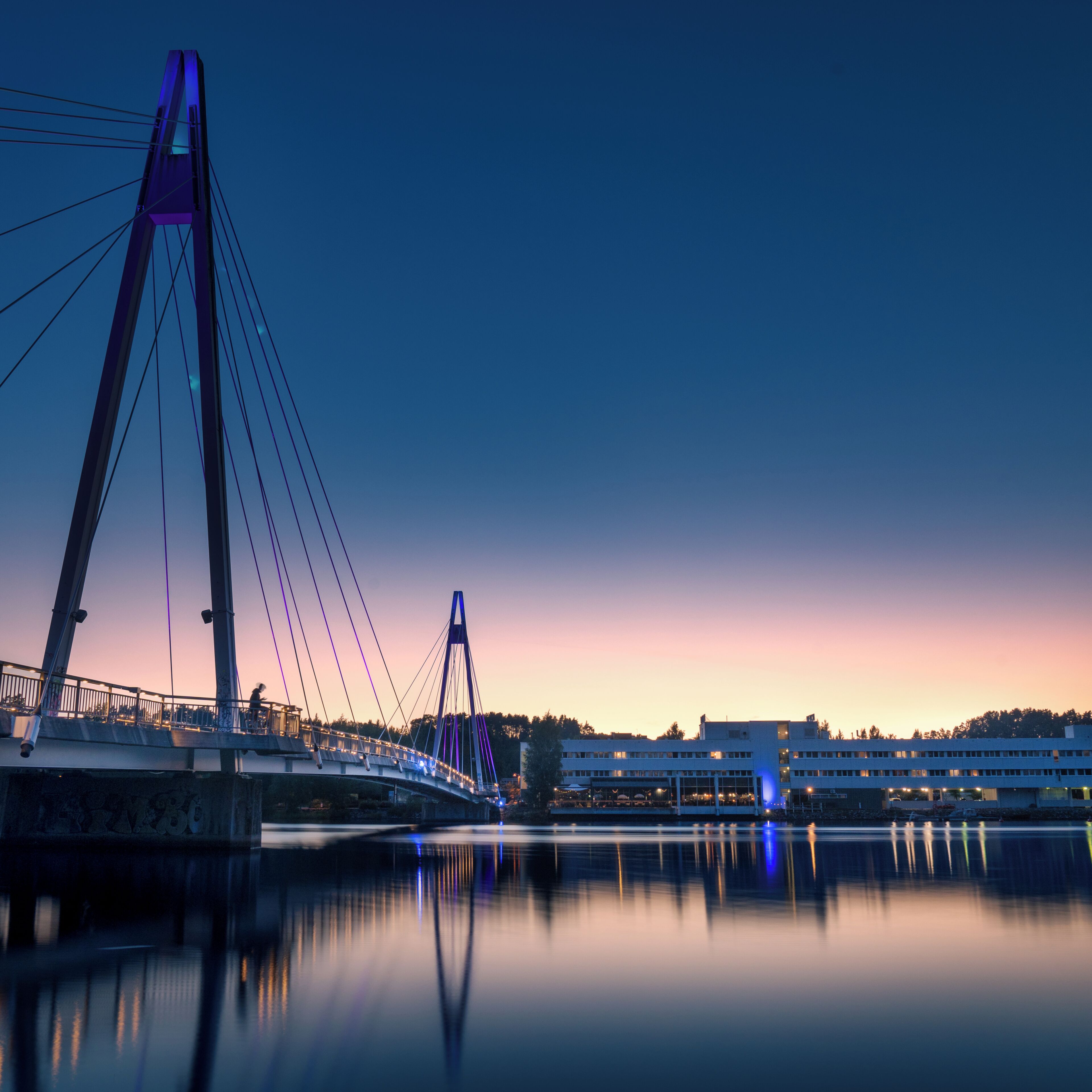 A bridge with multiple cables and a reflection in the water.