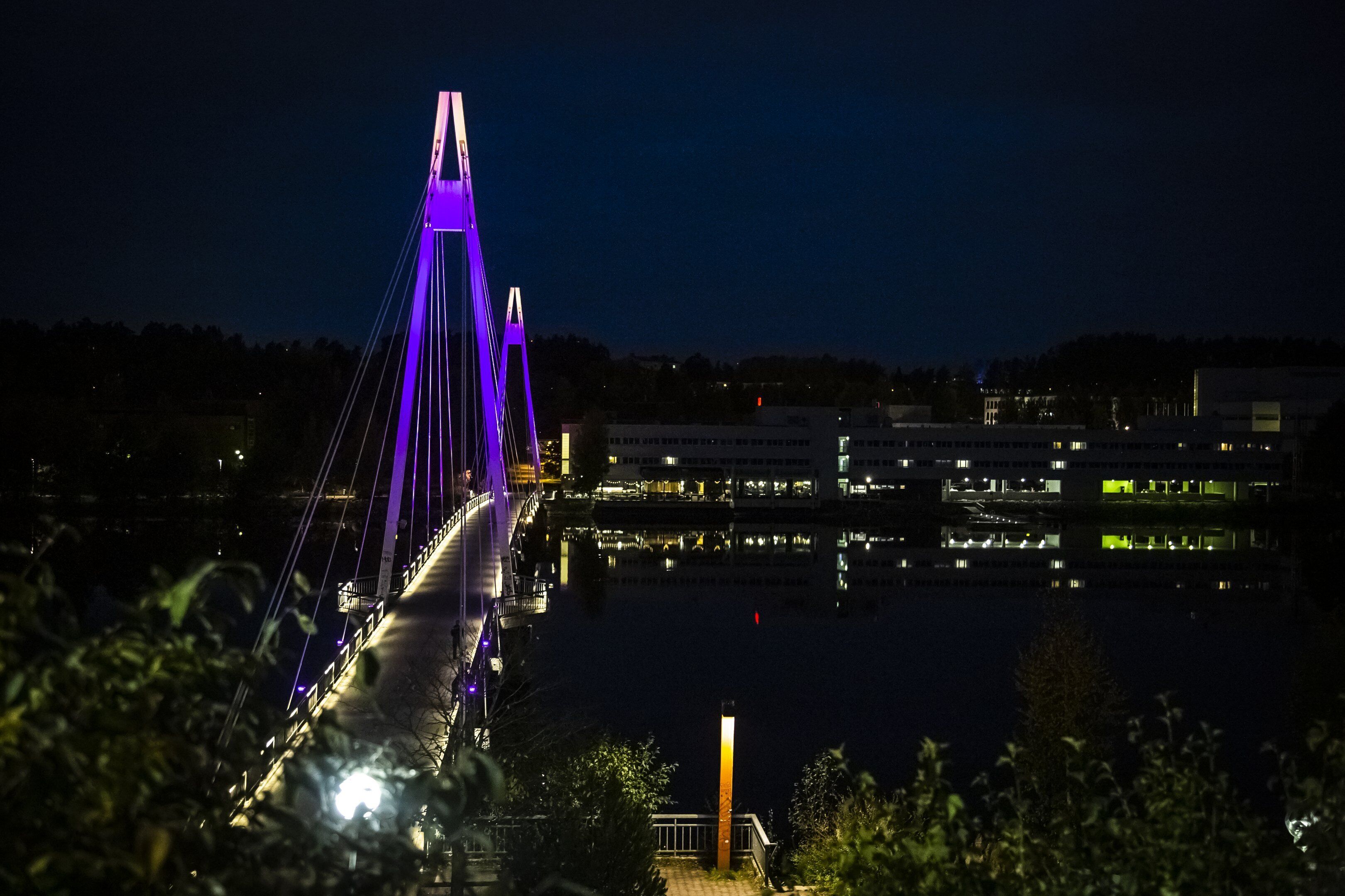 Een nachtzicht van een brug met paarse verlichting, water eronder en gebouwen op de achtergrond.