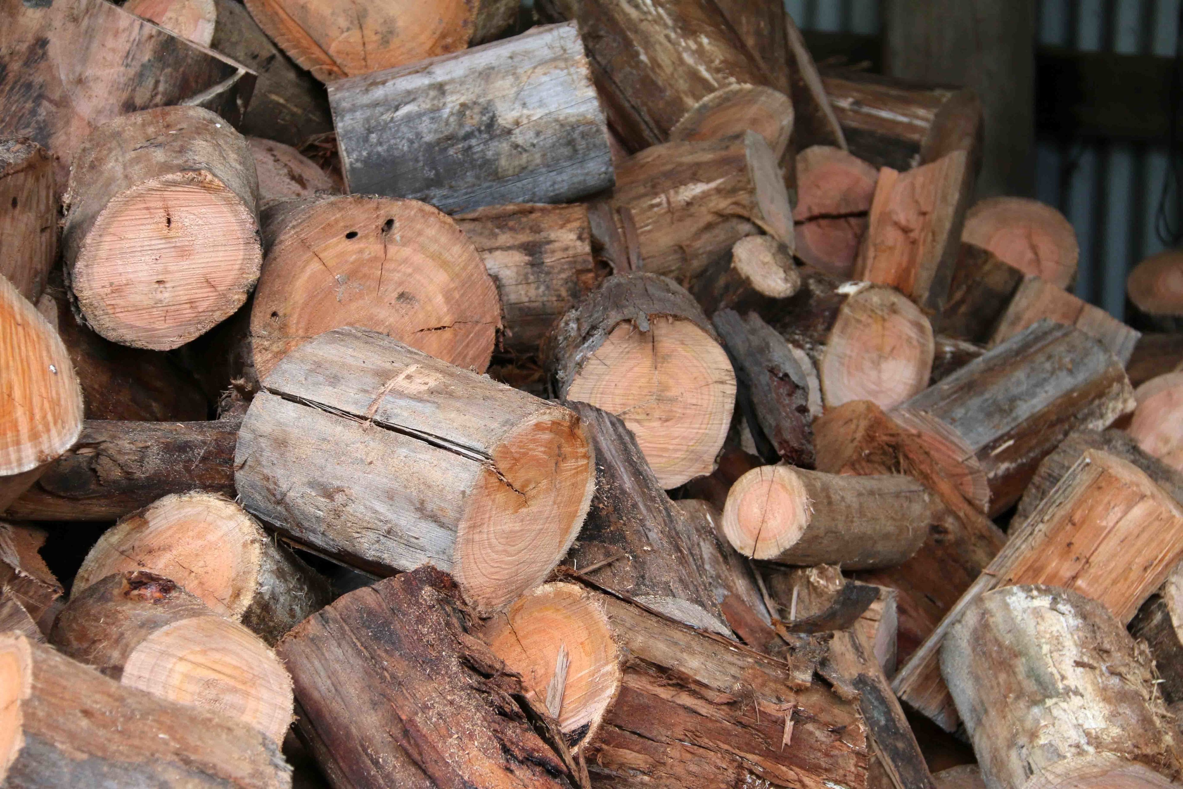 Une pile de troncs d’arbres coupés.