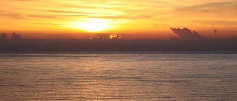 Minibar, in-room safe, blackout curtains, iron/ironing board