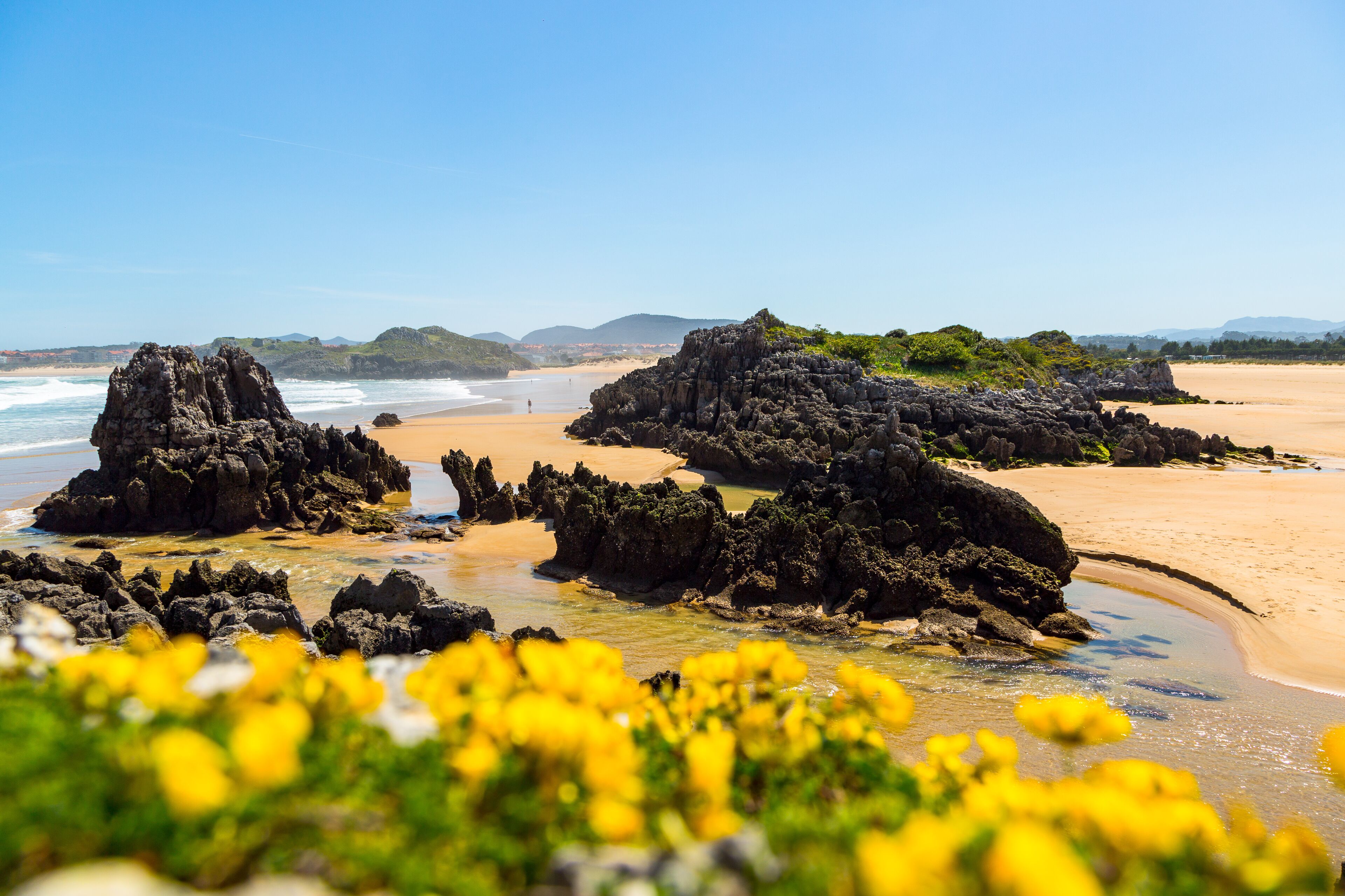A beach with rocky formations and yellow flowers in the foreground.
