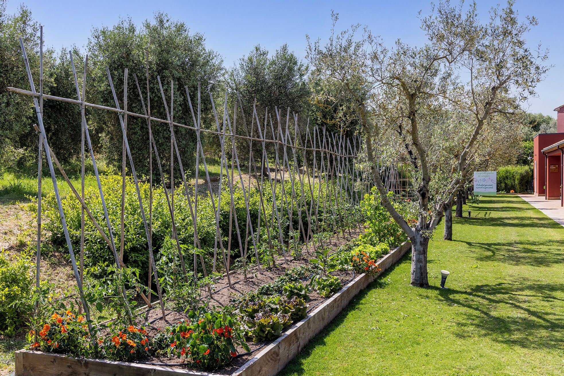 A garden with raised beds, a trellis structure, and a building in the background.