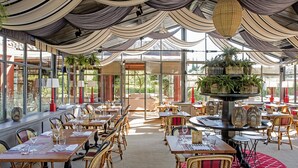 An indoor dining area with tables and chairs, large windows, and hanging plants. - Resort Locanda Rossa (Capalbio)