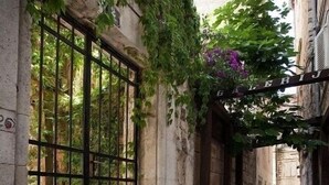 Exterior - Rodrigo Apartments (Split)