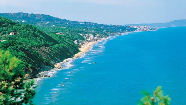 Un paysage côtier offrant une vue dégagée sur la mer et une colline densément boisée.