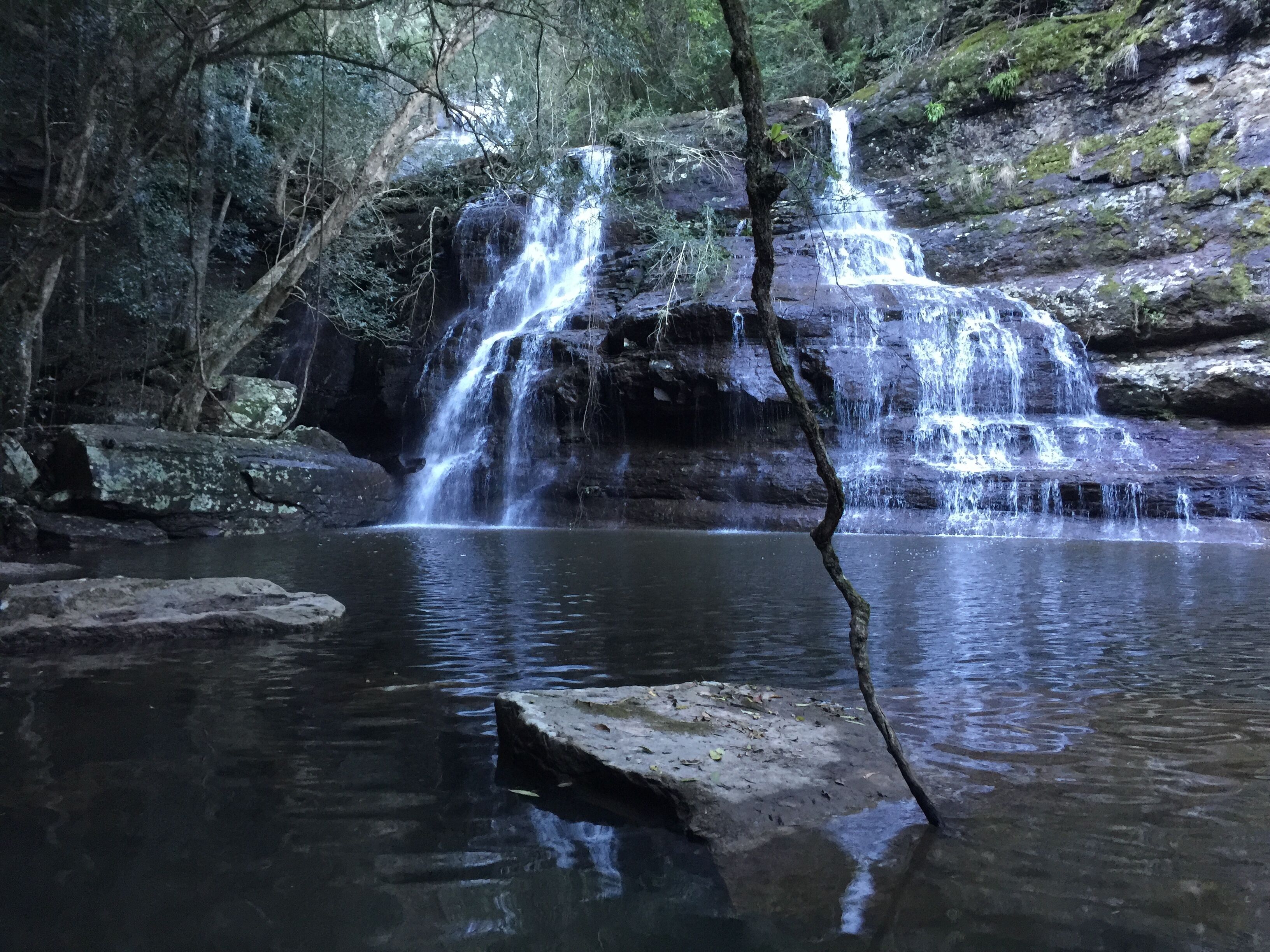 A natural waterfall in a forested area with clear water and rocky surroundings.