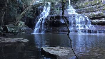 A natural waterfall in a forested area with clear water and rocky surroundings.