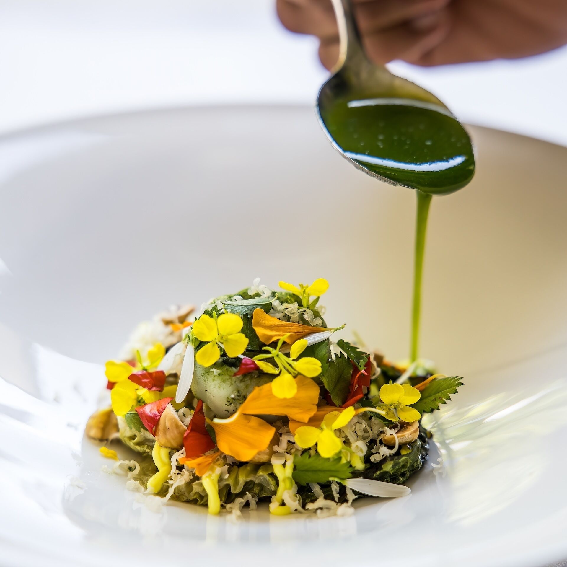 A spoonful of green sauce being poured onto a dish with various vegetables and herbs.