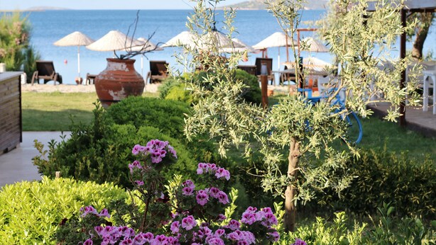 Un jardín con plantas en macetas y flores, mobiliario exterior con sombrillas y vistas al mar.