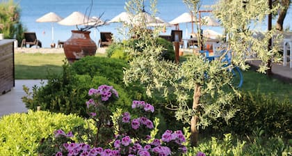 Cundavilla Hotel & Suites