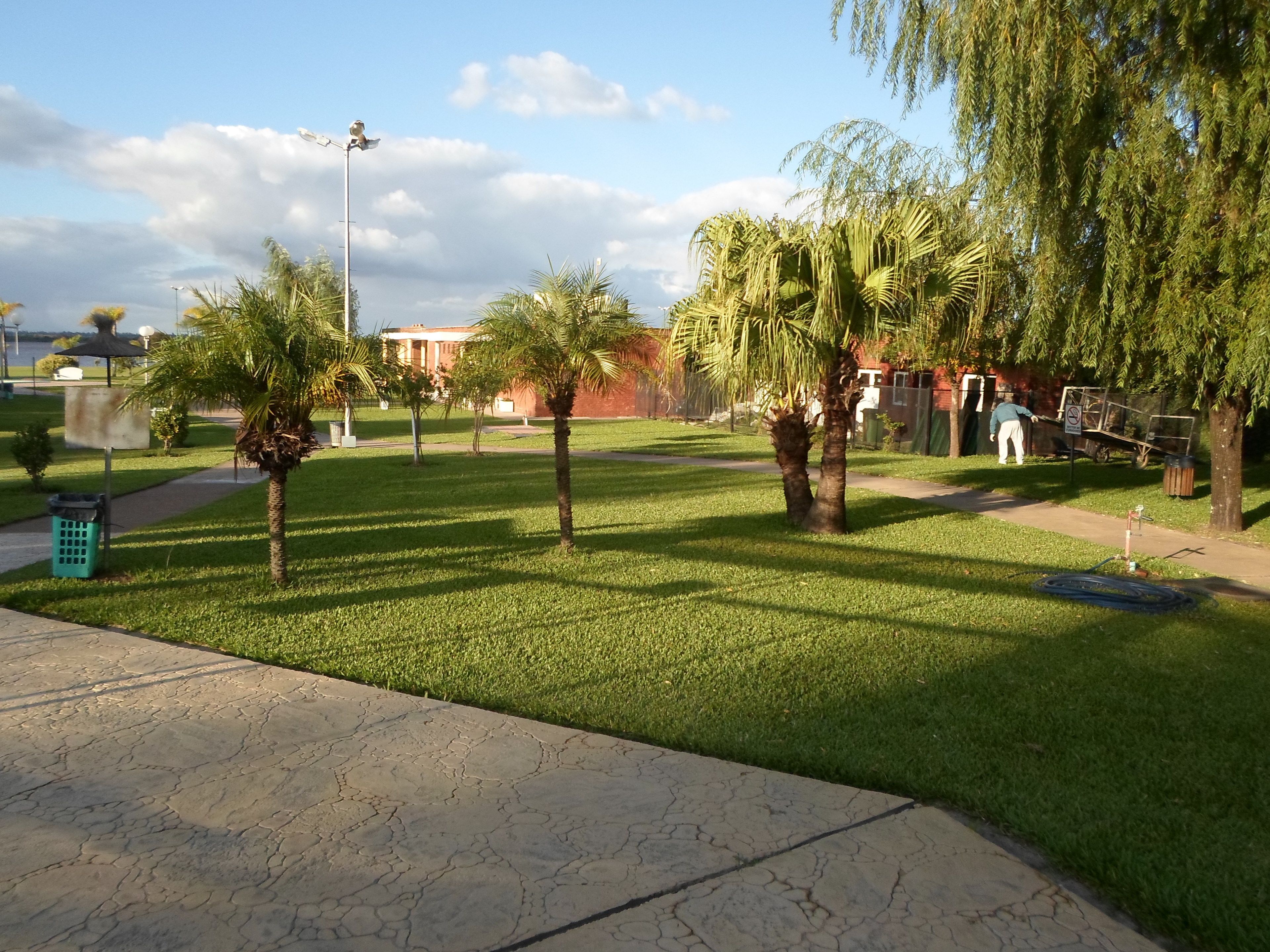 A park with palm trees, a paved walkway, and a building in the background.