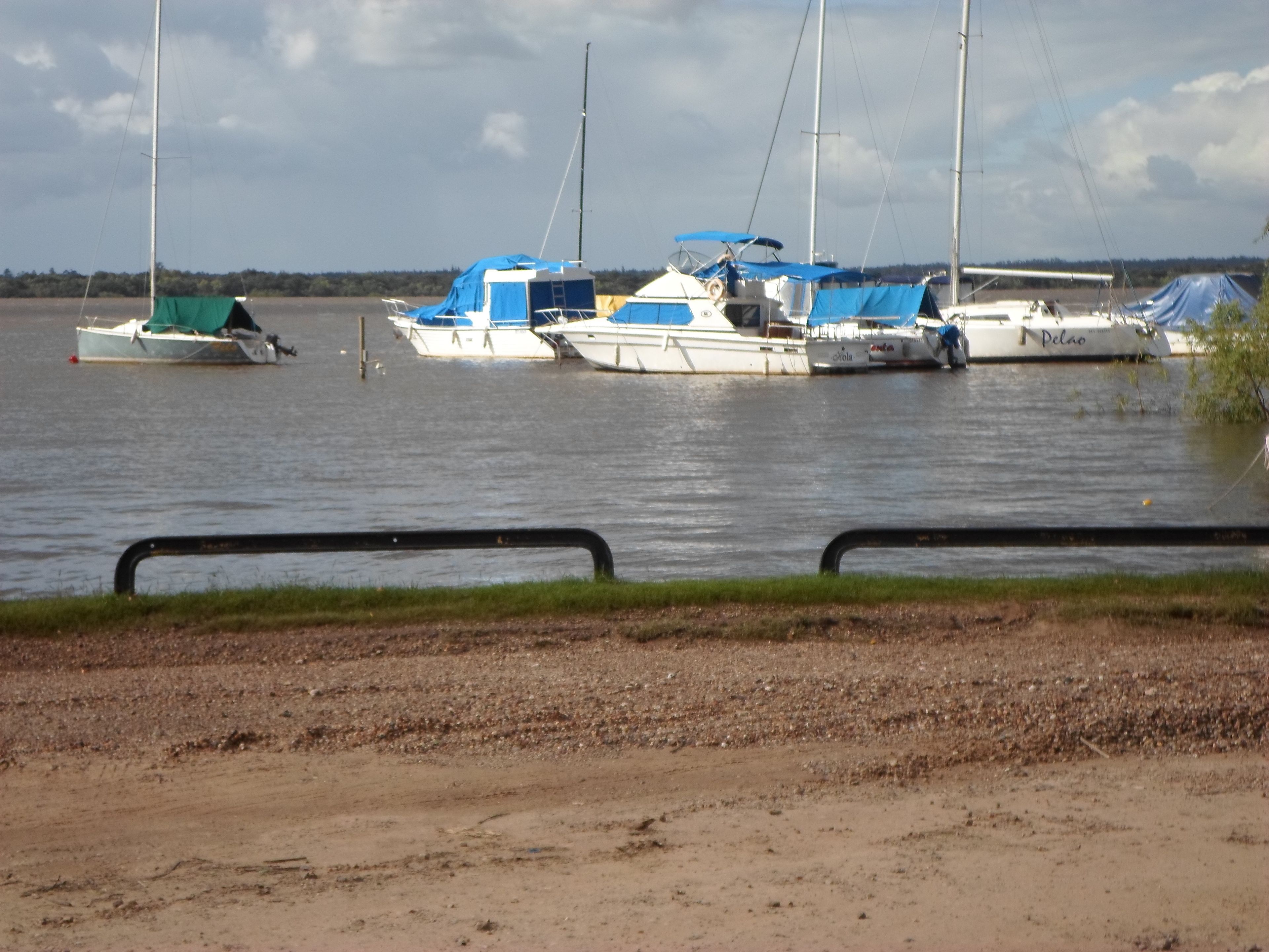 Una marina con varios barcos amarrados.