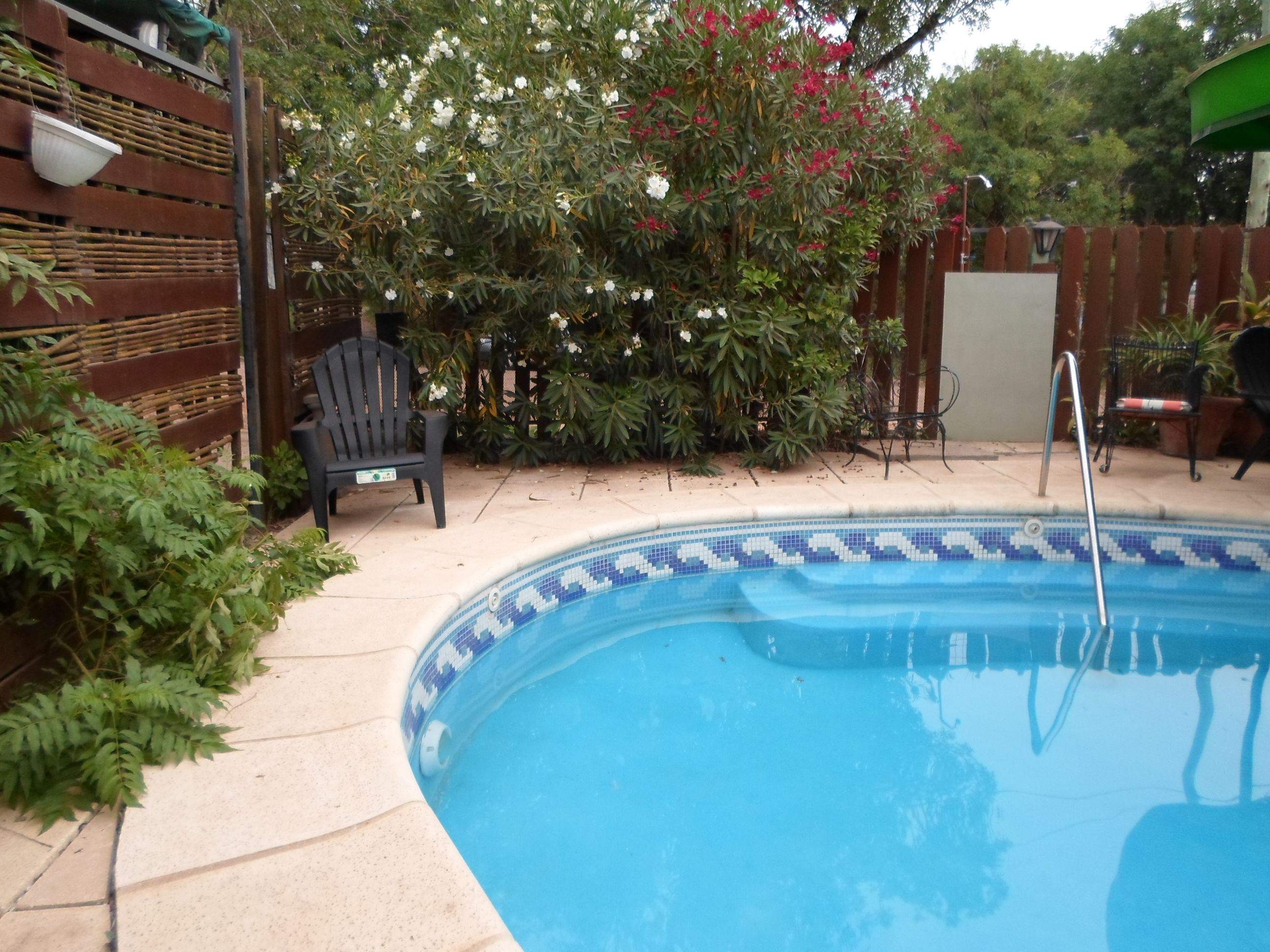 Una piscina con borde de azulejos, rodeada por una cerca de madera, una silla y varias plantas.